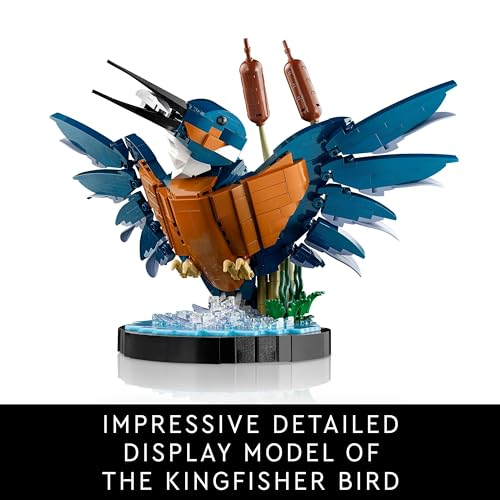 LEGO Icons 10331 Kingfisher Bird Set for Adults