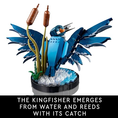 LEGO Icons 10331 Kingfisher Bird Set for Adults