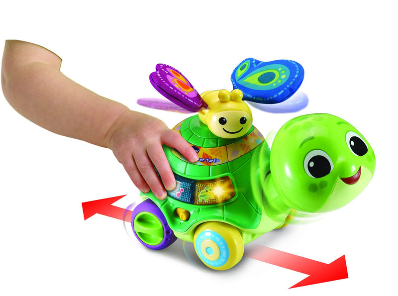 VTech 2-in-1 Push & Discover Turtle