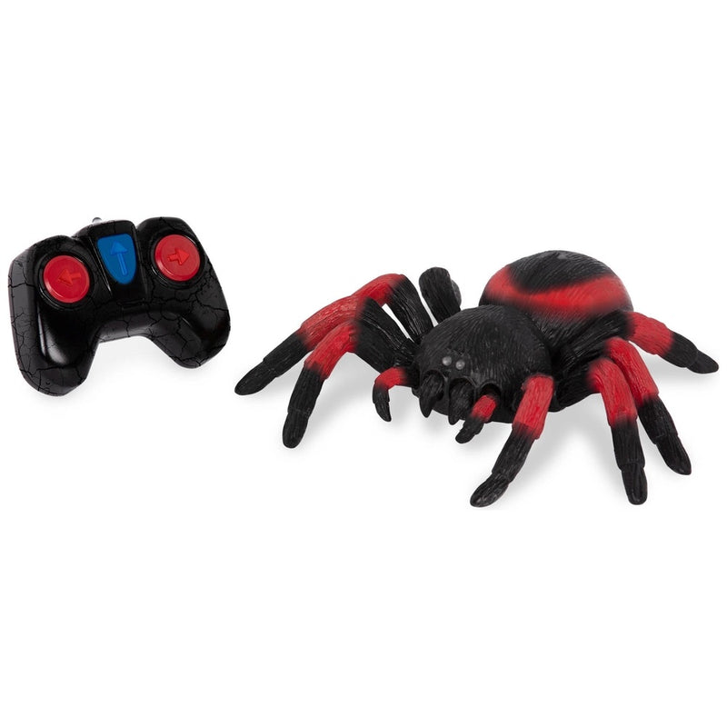 Terra Remote Control Spider Tarantula