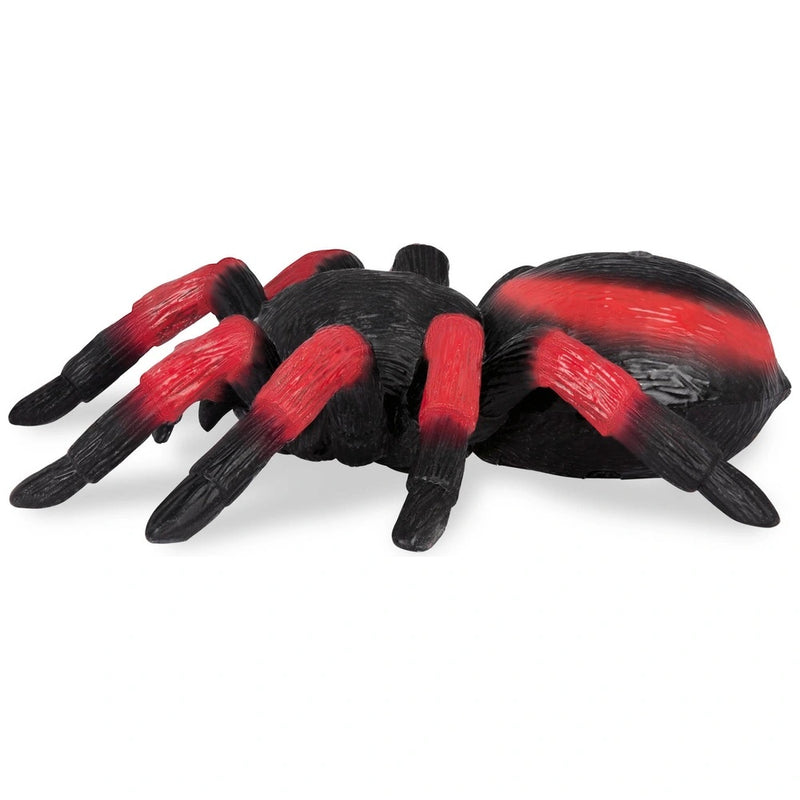 Terra Remote Control Spider Tarantula