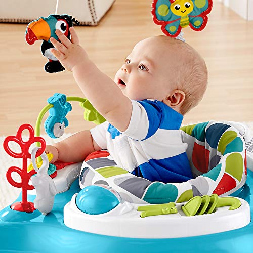 Fisher-Price Colour Climbers Jumperoo